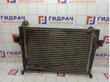 Интеркулер Jeep Grand Cherokee (WJ) 52079499AC.