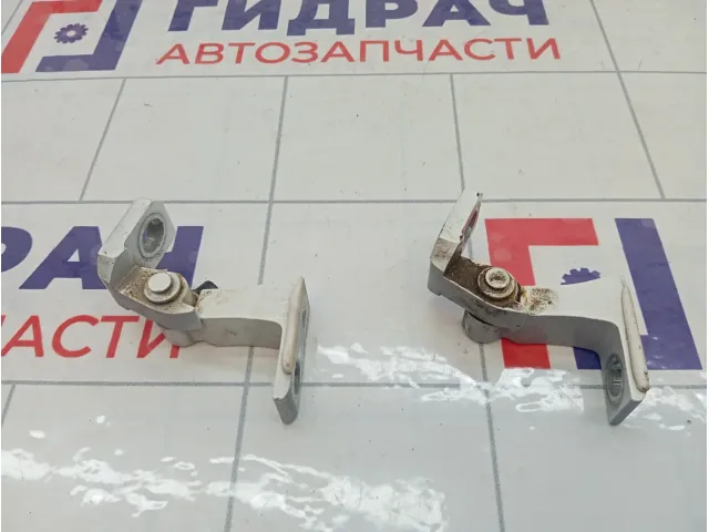 Петли двери передней правой Jetour X70 Plus
