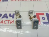 Петли двери передней правой Jetour X70 Plus