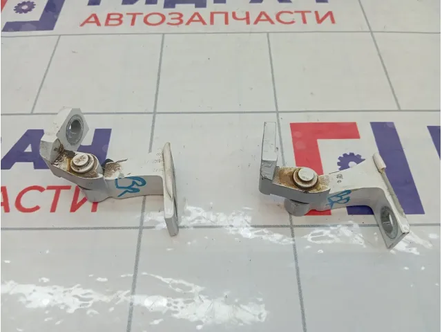 Петли двери задней правой Jetour X70 Plus