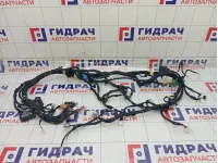 Проводка торпедо Jetour X70 Plus F184303030QF