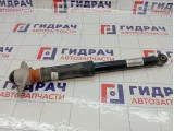 Амортизатор задний Jetour X70 Plus F182915010