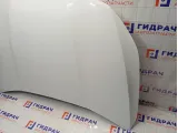 Капот Jetour X70 Plus F018402010DY