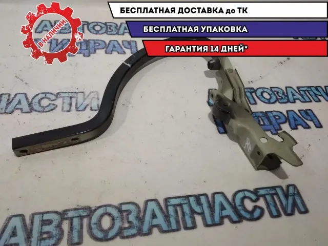 Петля крышки багажника левая Kia Cerato 3 79210A7000.