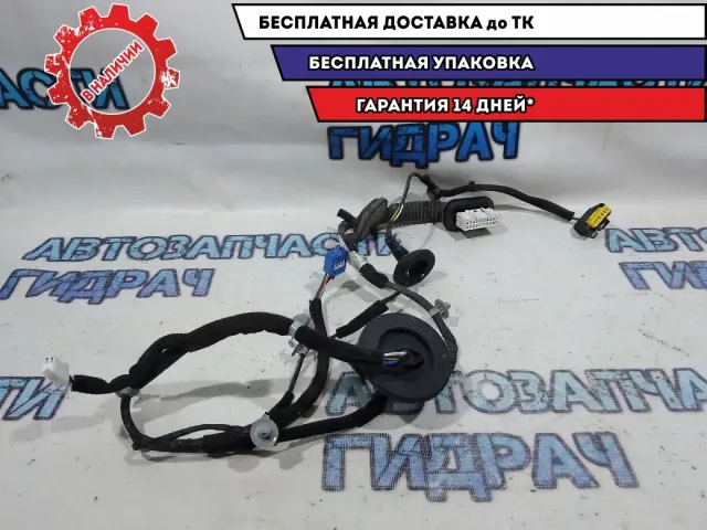 Проводка двери задней левой Kia Cerato 3 91650A7022