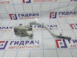 Петля крышки багажника левая Kia Optima (JF) 79210-D4000