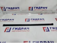 Уплотнитель стекла двери передней правой Kia Rio 4 82241-H0000.