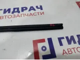 Уплотнитель стекла двери задней левой Kia Rio 4 83231-H0000.