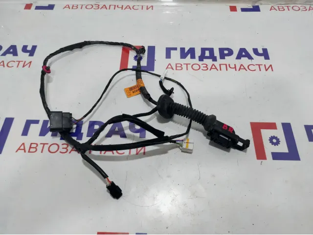Проводка двери задней правой Kia Rio 4 91660-H0020.