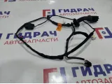 Проводка двери задней правой Kia Rio 4 91660-H0020.