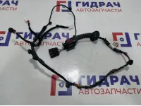 Проводка двери задней левой Kia Rio 4 91650-H0020.