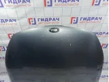 Капот Kia Rio 4 66400-H0000.