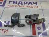 Петли двери задней левой Kia Rio 4 .