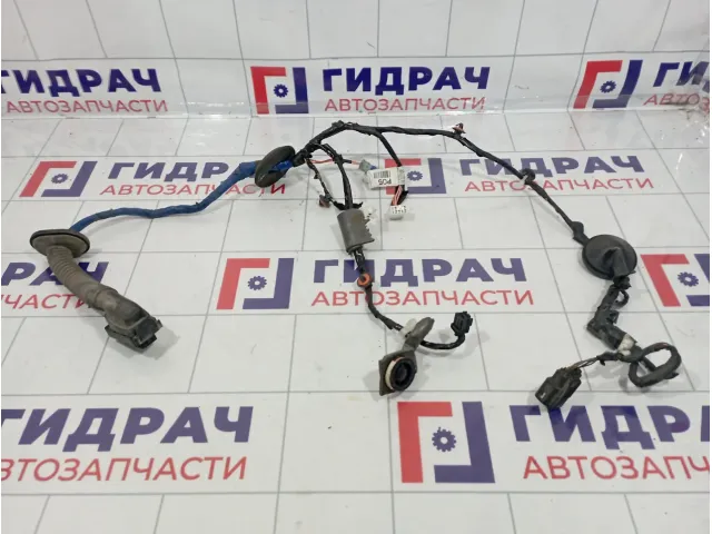 Проводка двери передней правой Kia Venga (YN) 91610-1P041