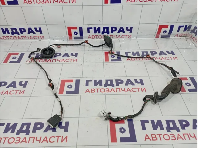 Проводка двери задней правой Kia Venga (YN) 91660-1P031
