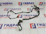 Проводка двери передней левой Kaiyi E5 806003065AA