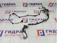 Проводка двери передней левой Kaiyi E5 806003065AA