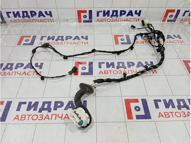 Проводка двери передней левой Kaiyi E5 806003065AA