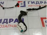 Проводка двери передней левой Kaiyi E5 806003065AA
