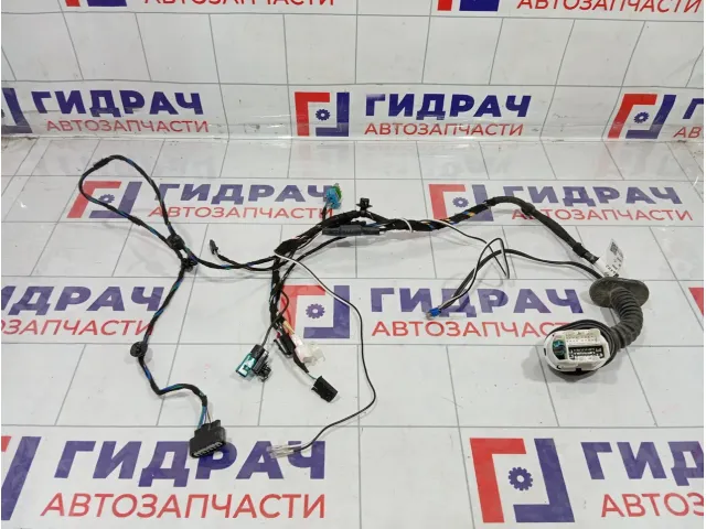 Проводка двери передней правой Kaiyi E5 806003068AA