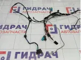 Проводка двери передней правой Kaiyi E5 806003068AA
