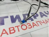 Проводка двери передней правой Kaiyi E5 806003068AA