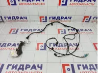 Проводка двери задней левой Kaiyi E5 806003071AA