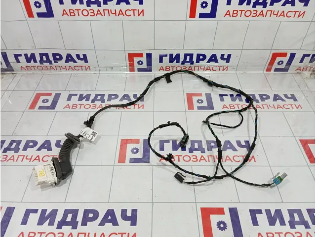 Проводка двери задней левой Kaiyi E5 806003071AA