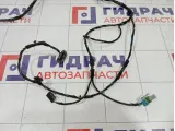 Проводка двери задней левой Kaiyi E5 806003071AA
