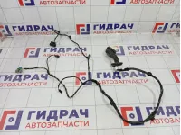 Проводка двери задней правой Kaiyi E5 806003074AA
