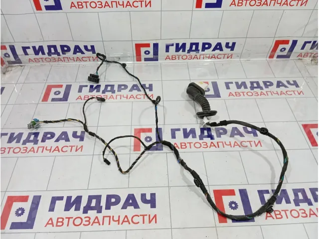 Проводка двери задней правой Kaiyi E5 806003074AA