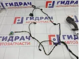 Проводка двери задней правой Kaiyi E5 806003074AA