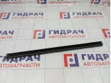 Уплотнитель стекла двери задней левой Kaiyi E5 J426207115