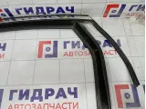 Уплотнитель стекла двери задней левой Kaiyi E5 J426207111