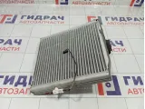 Испаритель кондиционера Kaiyi E5 J608107350