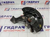 Кулак поворотный задний правый Kaiyi E5 204001135AA