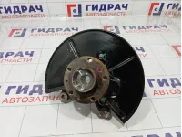 Кулак поворотный передний левый Kaiyi E5 J603001011