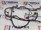 Проводка подкапотная Kaiyi E5 806003076AA