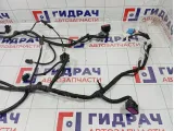 Проводка подкапотная Kaiyi E5 806003076AA
