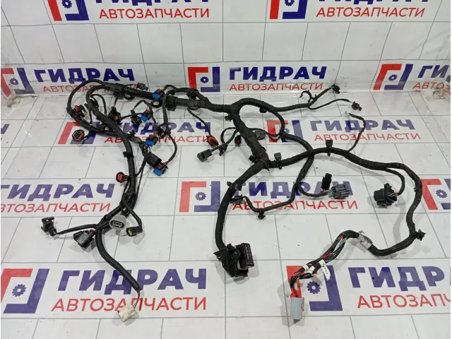 Проводка двигателя Kaiyi E5 G03400110001AA