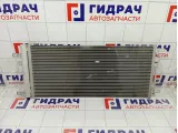 Радиатор кондиционера Kaiyi E5 J428105010BA