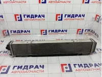 Интеркулер Kaiyi E5 J60-1119610