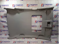 Обшивка потолка Kaiyi E5 403003276AAAGY