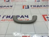 Ручка внутренняя потолочная Kaiyi E5