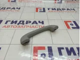 Ручка внутренняя потолочная Kaiyi E5