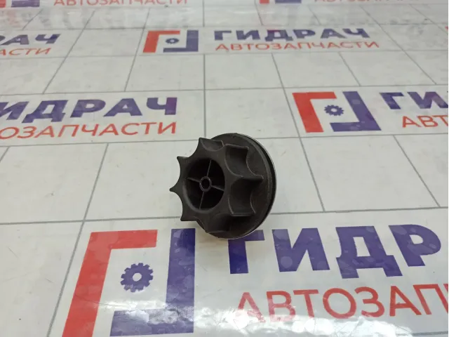 Болт крепления запасного колеса Kaiyi E5 T213100113