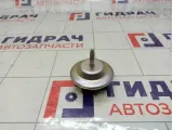 Болт крепления запасного колеса Kaiyi E5 T213100113