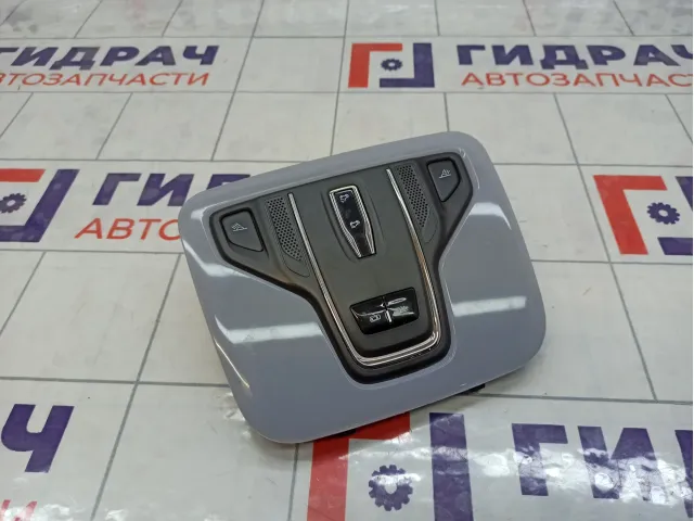 Плафон салонный Kaiyi E5 605000489AA