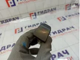 Кнопка аварийной сигнализации Kaiyi E5 808000578AA
