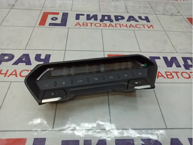 Блок управления климатической установкой Kaiyi E5 301001109AA